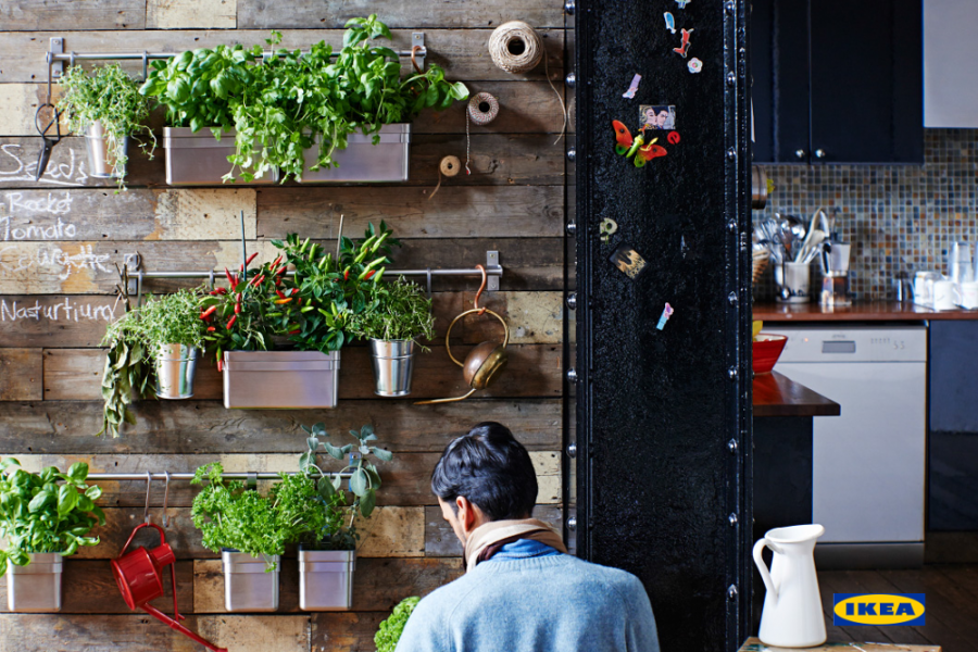 Un potager d'intérieur dans votre cuisine